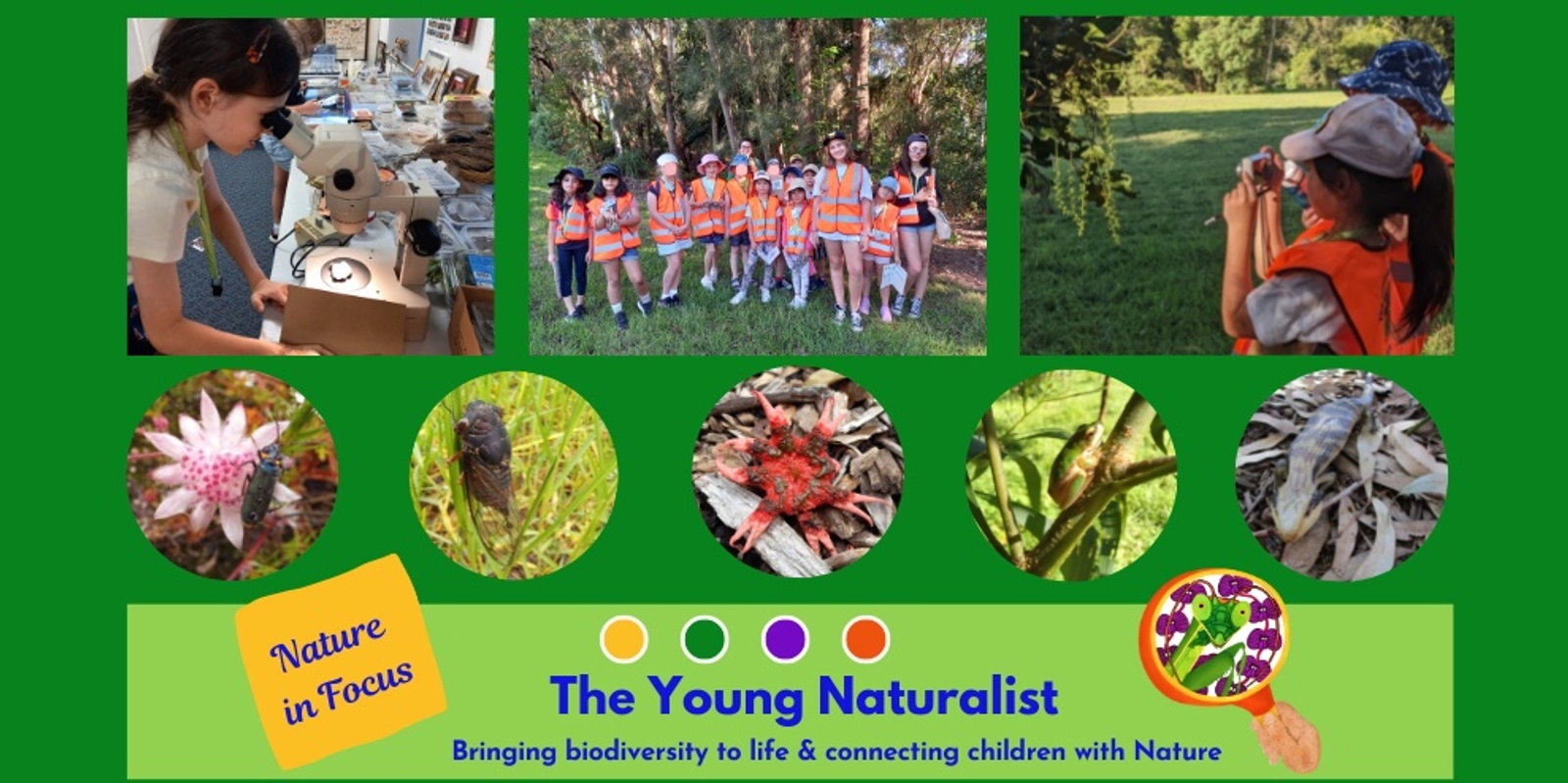 Banner image for The Young Naturalist: Nature in Focus