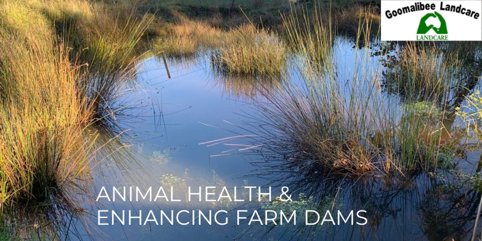 Banner image for Animal Health & Enhancing Farm Dams