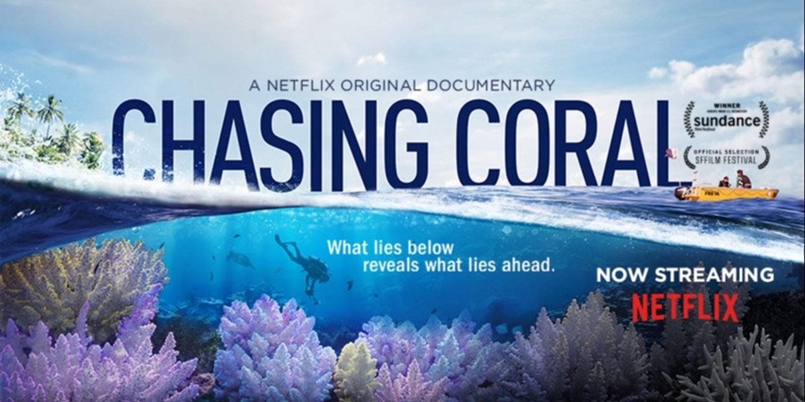 Banner image for Chasing Coral (with panel discussion) - Ocean Lovers Festival