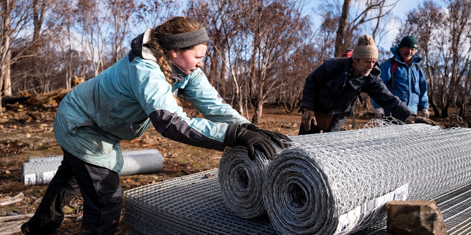 Banner image for TLC Volunteering - Cider gum cage maintenance