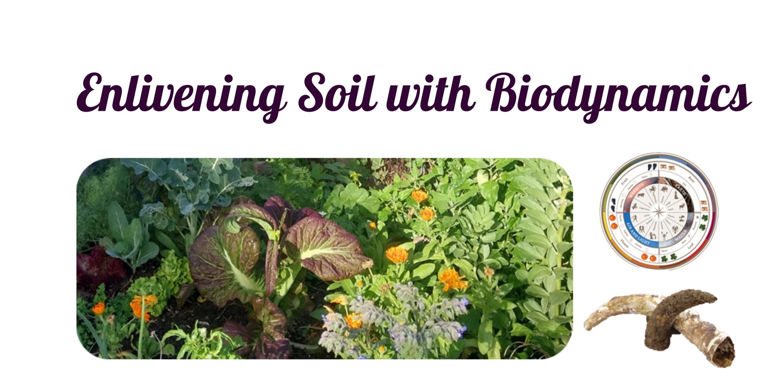 Banner image for Enlivening soil with Biodynamics