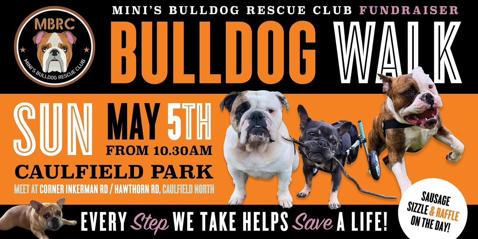 Banner image for BULLDOG RESCUE WALK May 2024 (Melbourne)