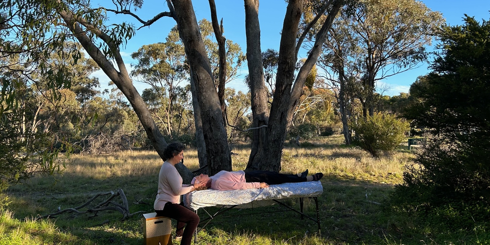 Banner image for Craniosacral therapy, healing with nature.