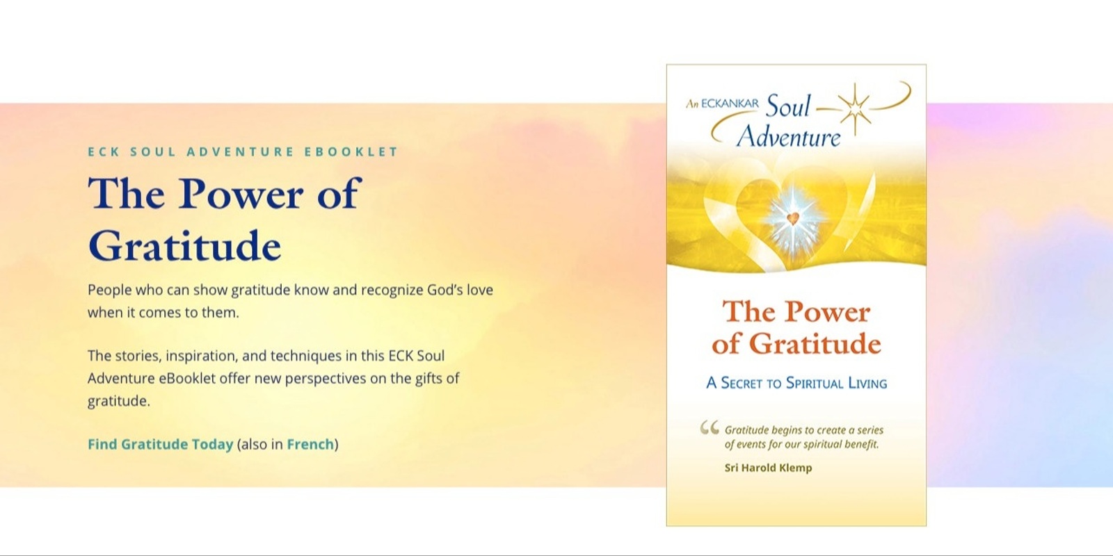Banner image for The Power of Gratitude