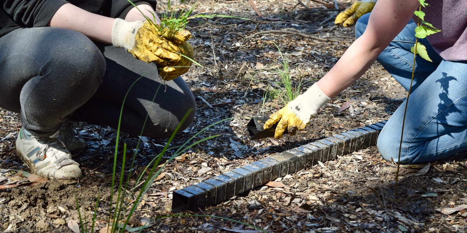 Banner image for Urban Guerrillas Planting and Working Bee