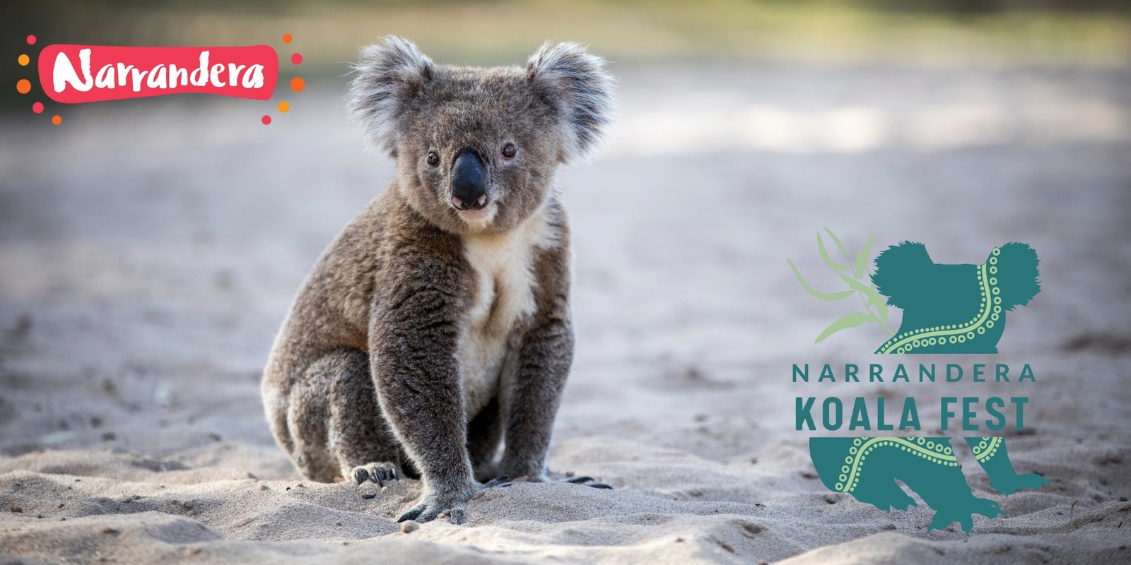 Banner image for 2024 Narrandera Koala Fest