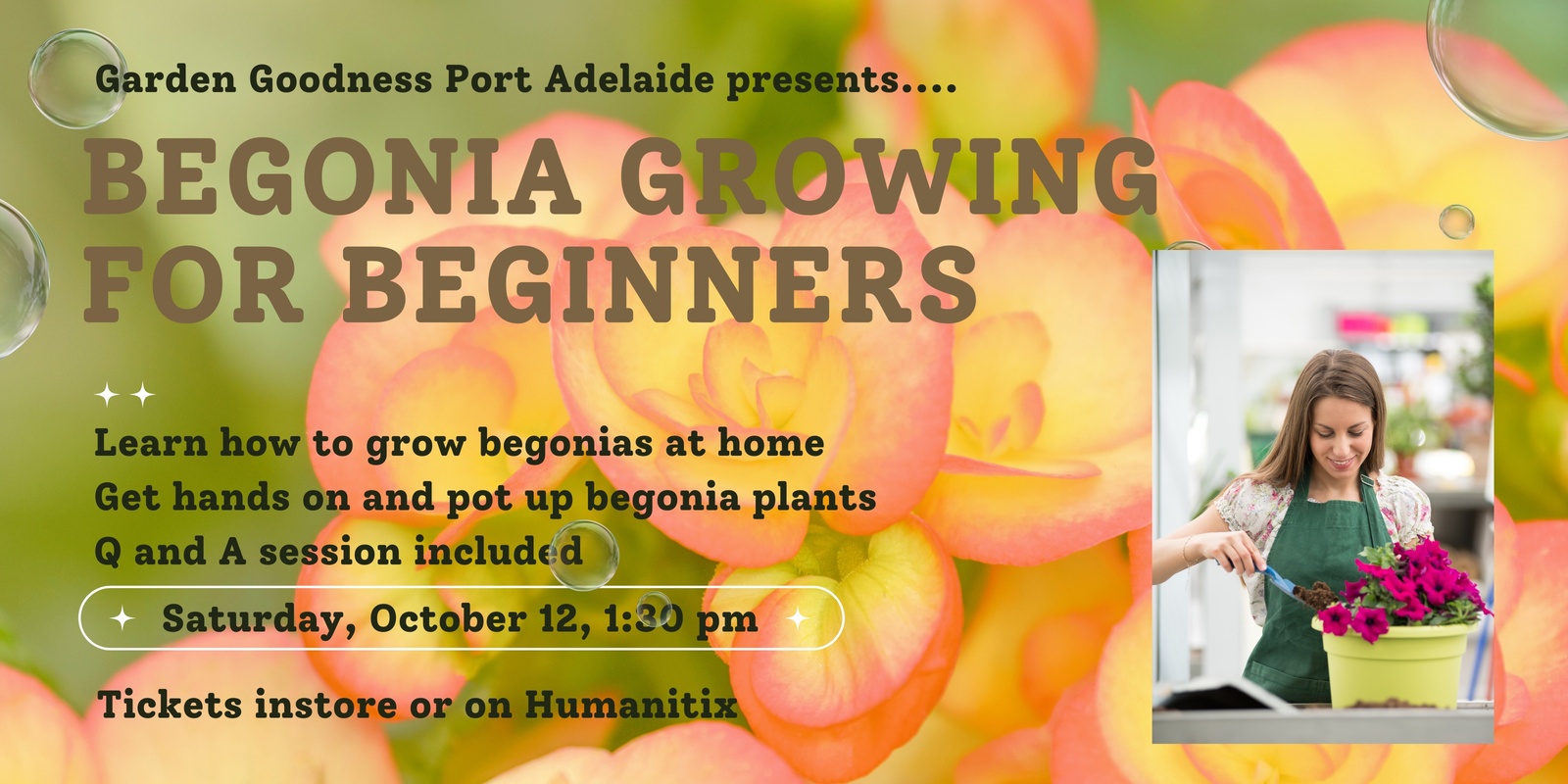 Banner image for Begonia Growing for Beginners - Port Adelaide