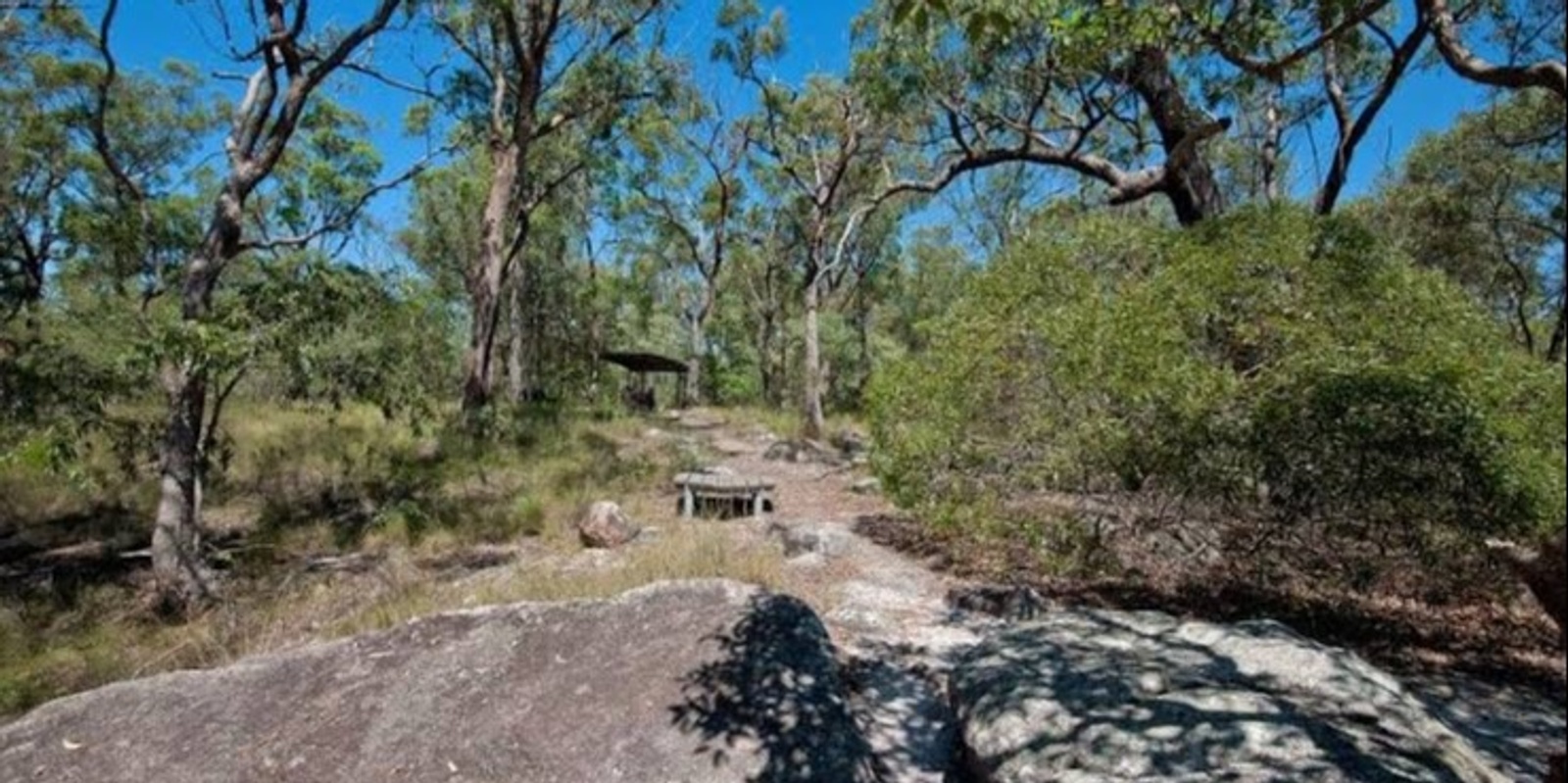 Banner image for Karawatha Forest Guided Bushwalk with Dr Richard Noske: ACF Brisbane South & Logan