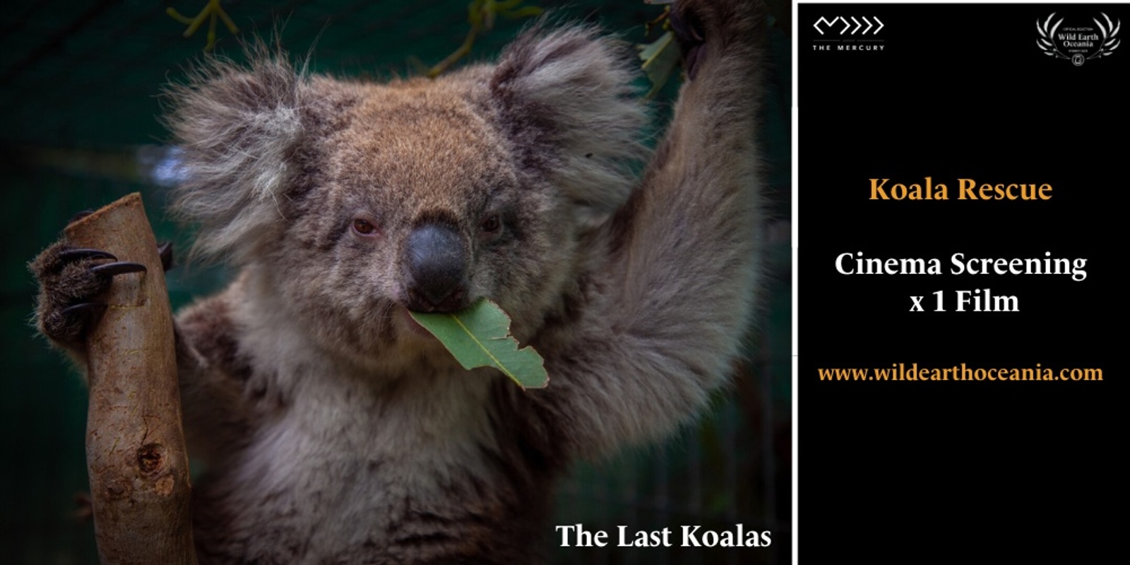 Banner image for WEOFF: Opening Gala Event "The Last Koalas"