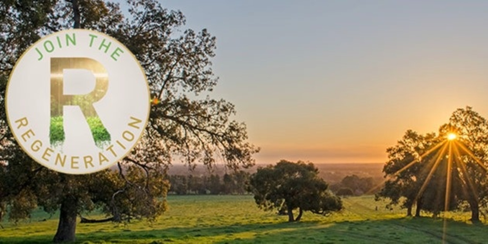 Jacaranda Hill Farm's banner