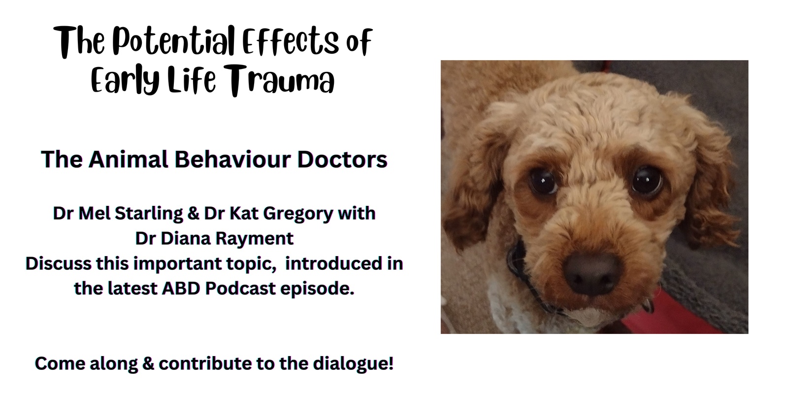 Banner image for The Potential Effects of Early Life Trauma  - focus on dogs - including those in shelter settings.    (live on ZOOM)