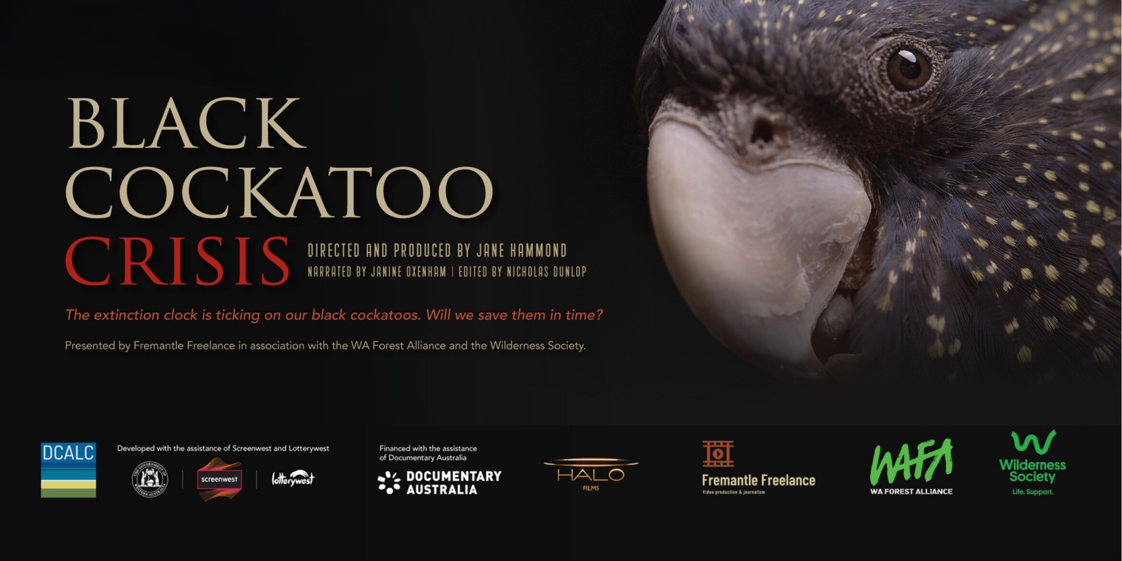 Banner image for Black Cockatoo Crisis Documentary Screening Dunsborough