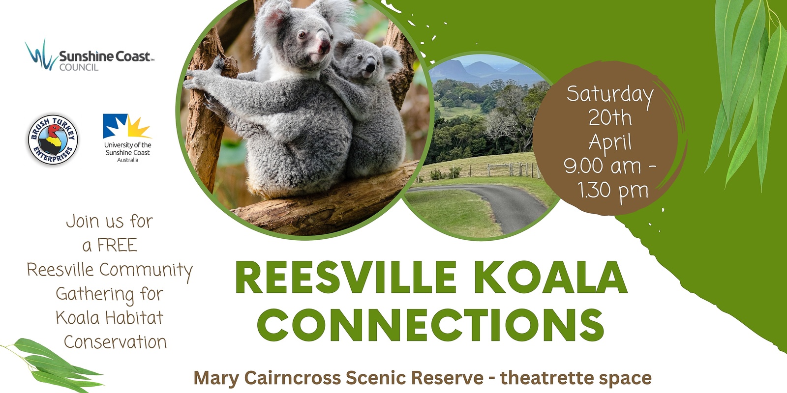 Banner image for Reesville Koala Connections 