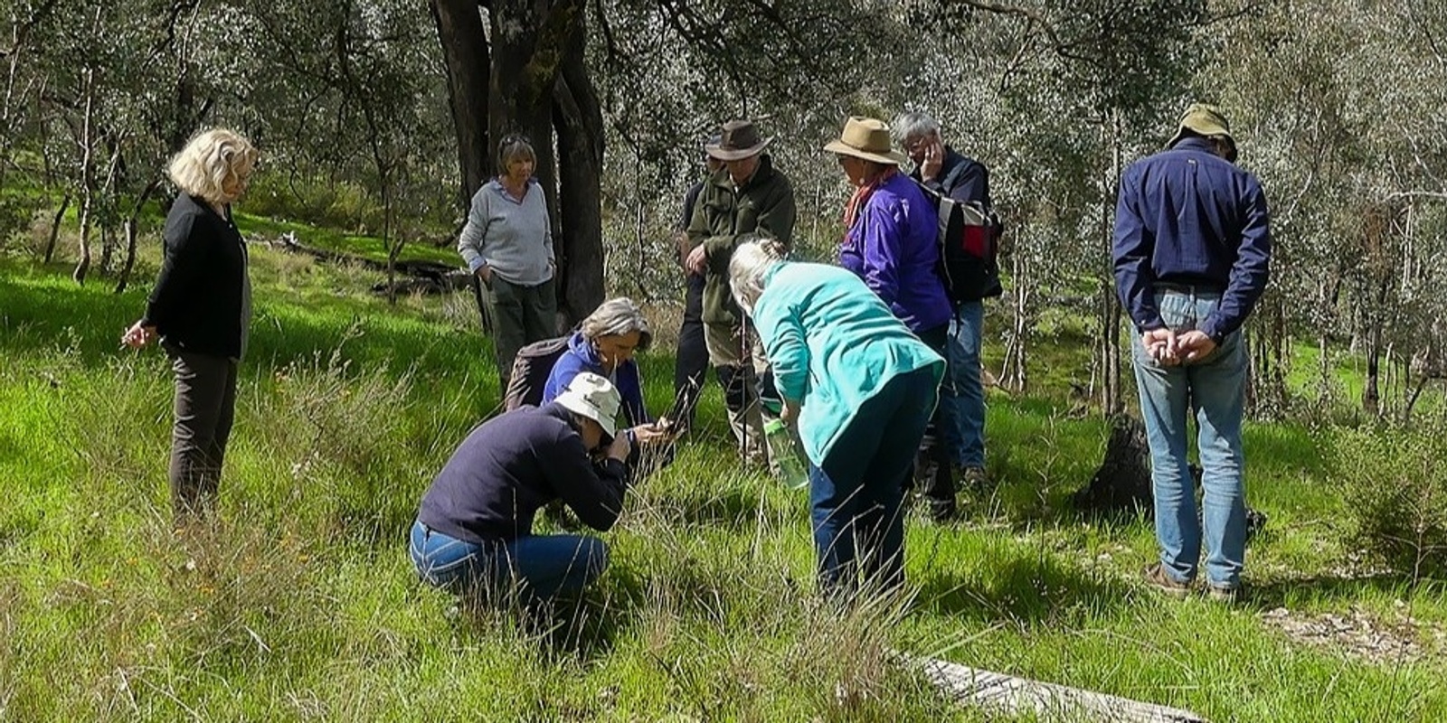 Banner image for A Slow Winter Nature Walk @ Swainsona Reserve with Sue Brunskill & Karen Retra