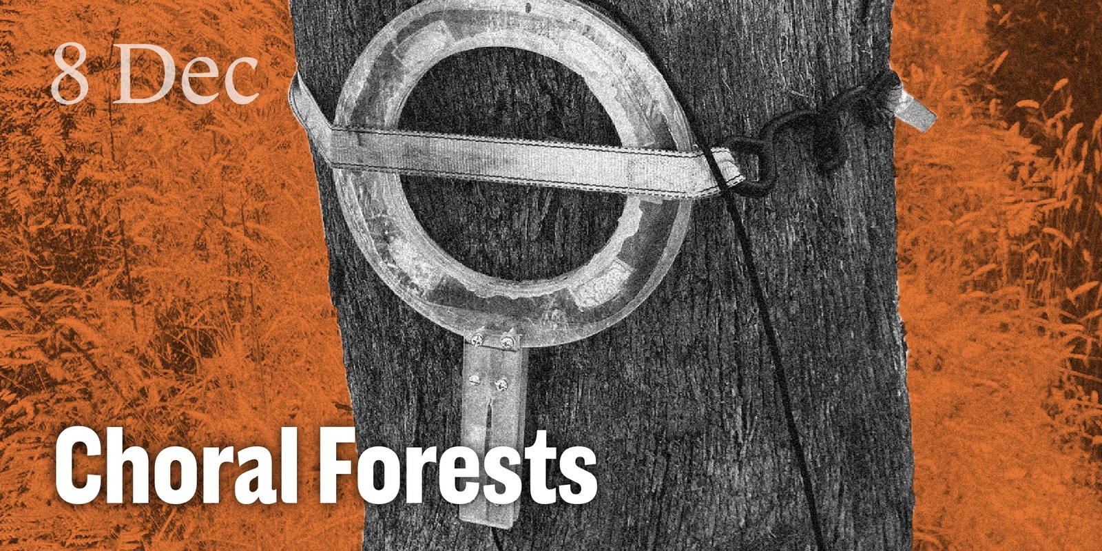 Banner image for Choral Forests