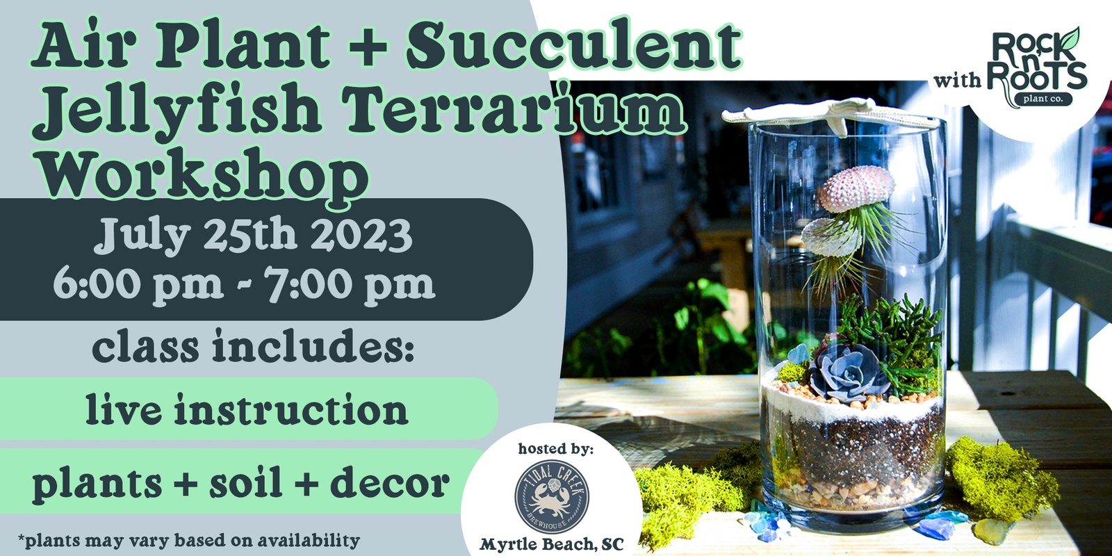 Banner image for Air Plant + Succulent Aquarium Terrarium Workshop at Tidal Creek Brewhouse (Myrtle Beach, SC)