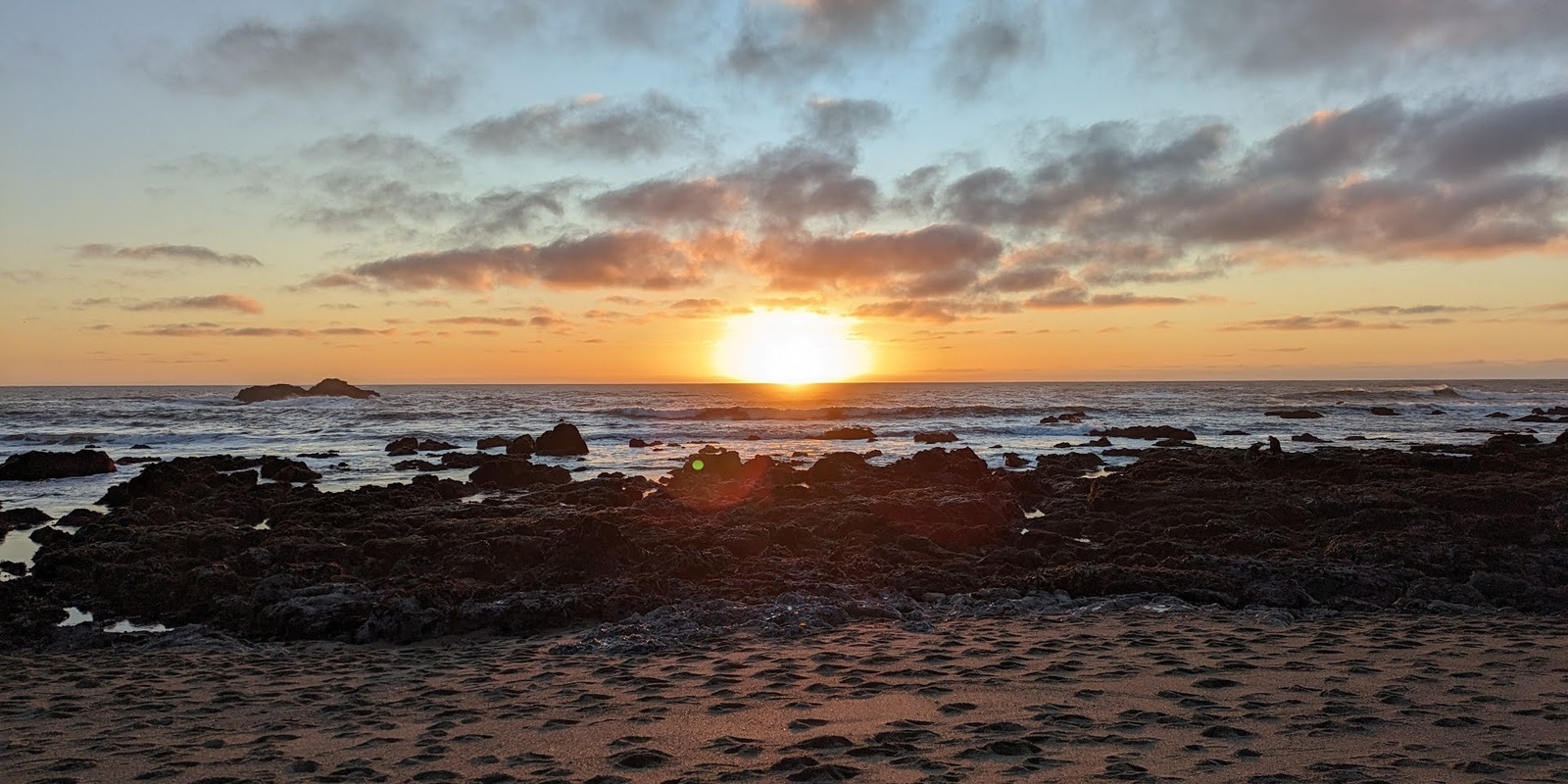 Banner image for Queer Tide Pooling - Community Science at Waddell Beach