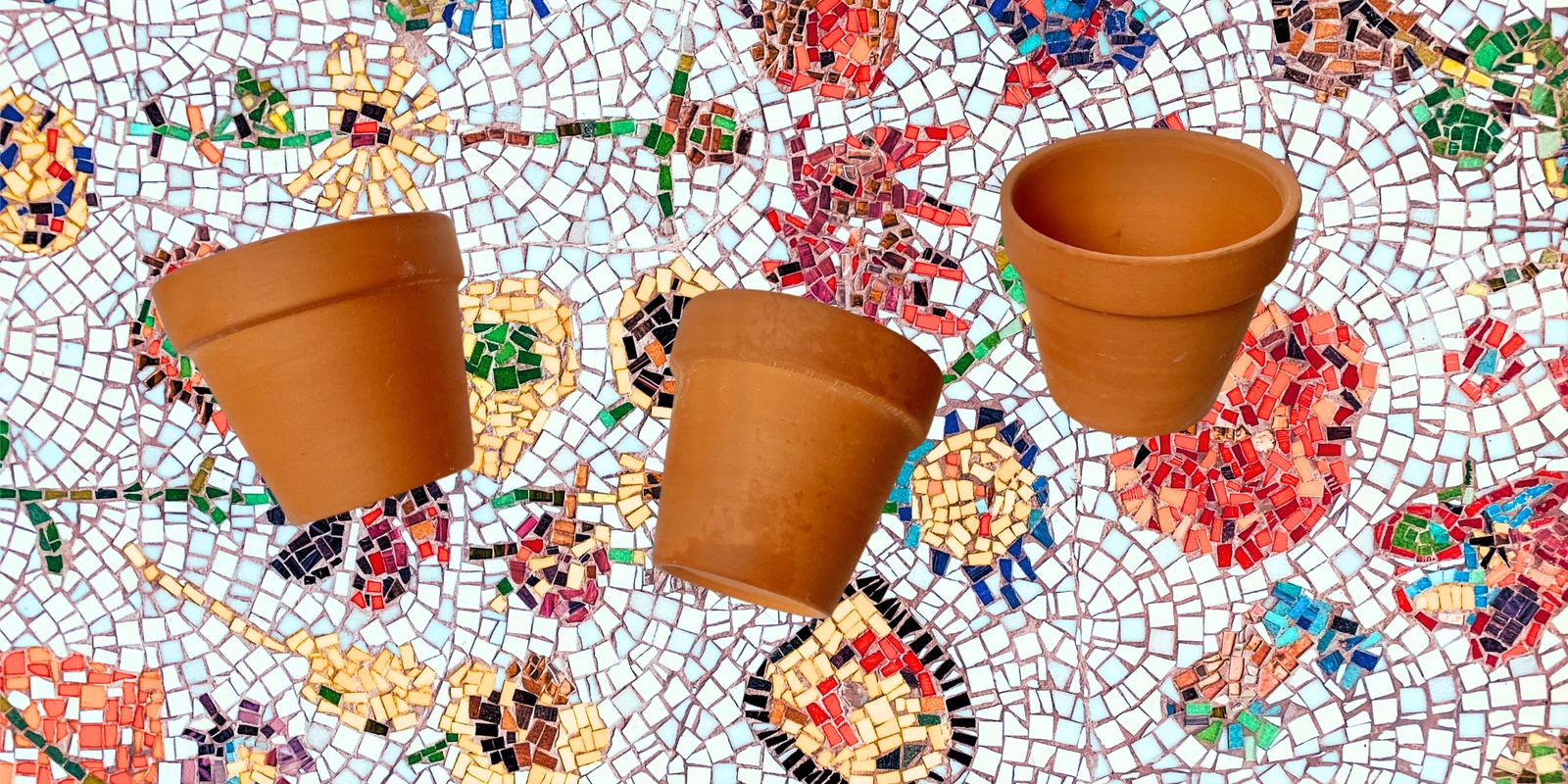 Banner image for Beginner Mosaics: Plant Pots with Heather