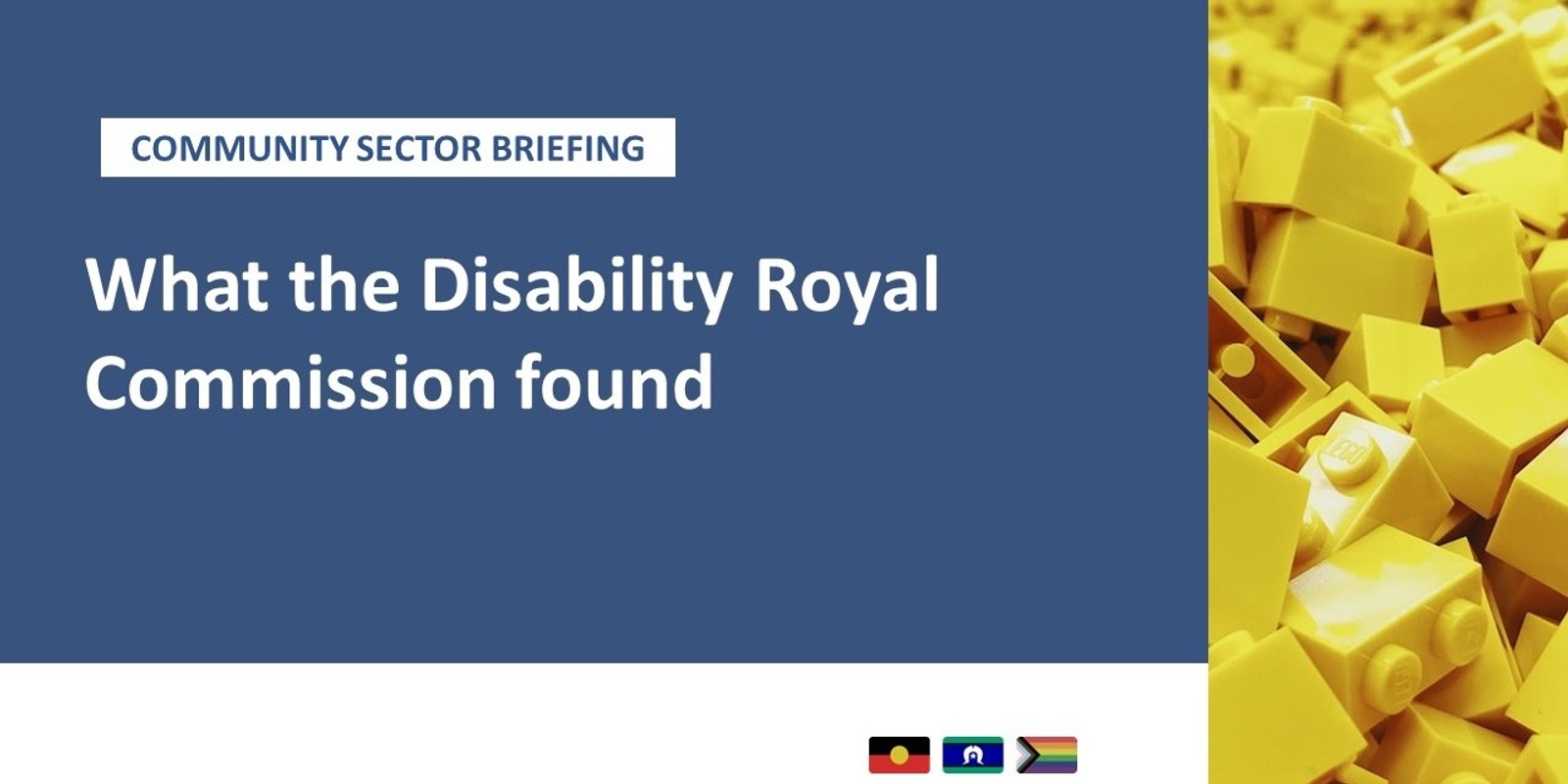 Banner image for Community Sector Briefing: What the Disability Royal Commission found