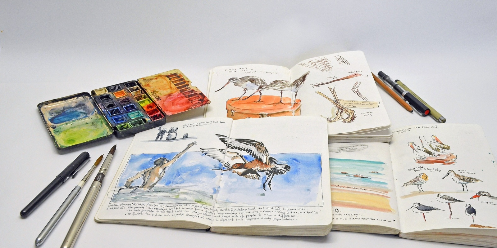 Banner image for Everyday Nature Sketchbooks! With Deb Mostert