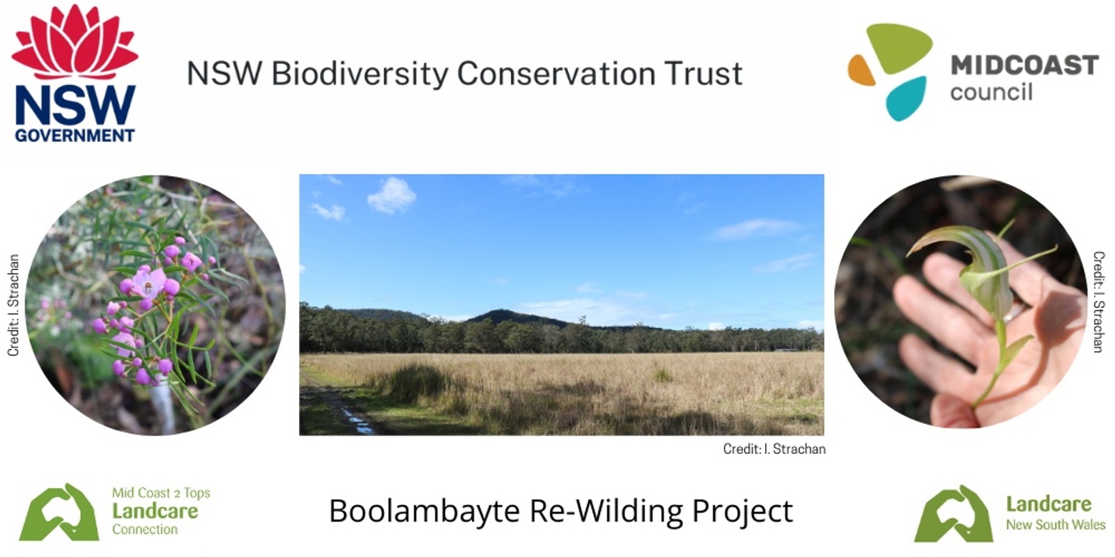 Banner image for Boolambayte Re-Wilding Project