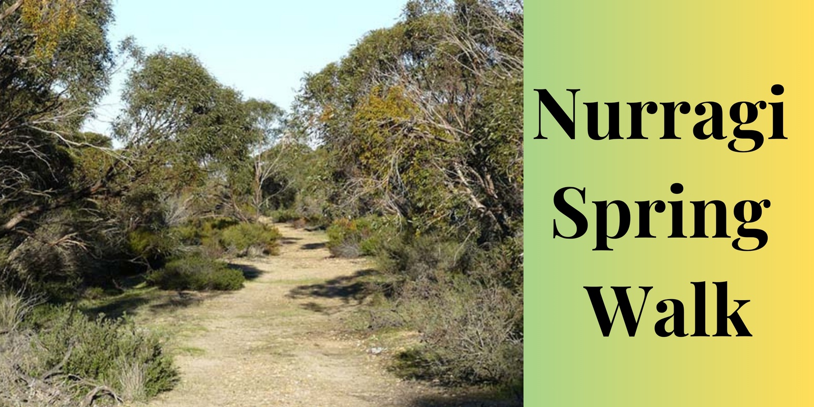 Banner image for Nurragi Spring Walk