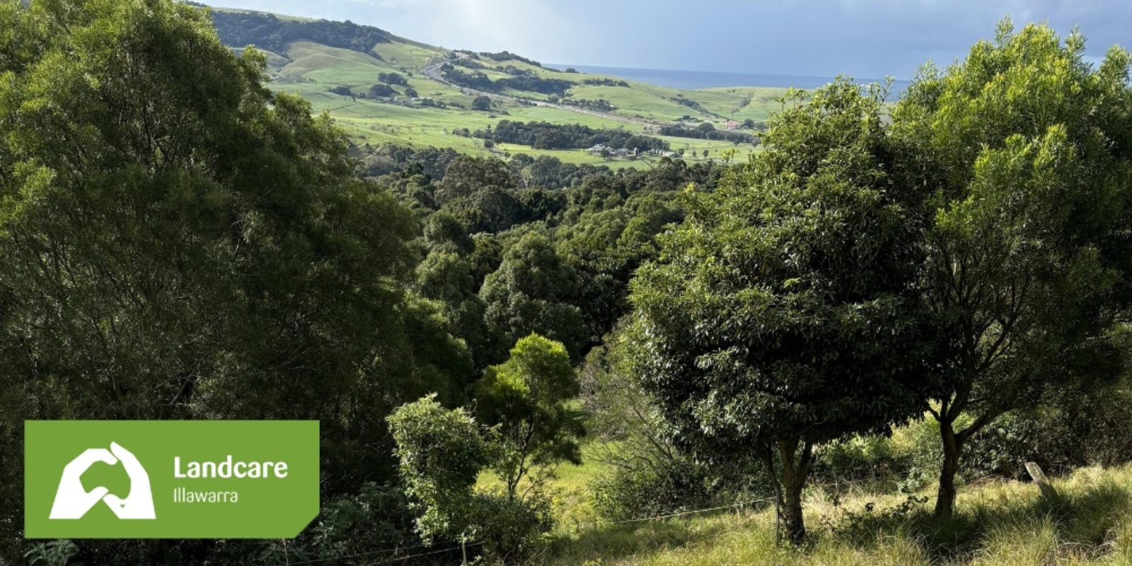 Banner image for 2024 Landcare Illawarra AGM and 25th Anniversary Celebration