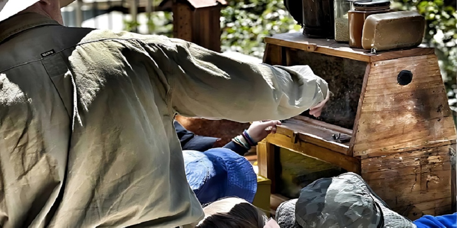 Banner image for Learn Beekeeping at Scarborough Library