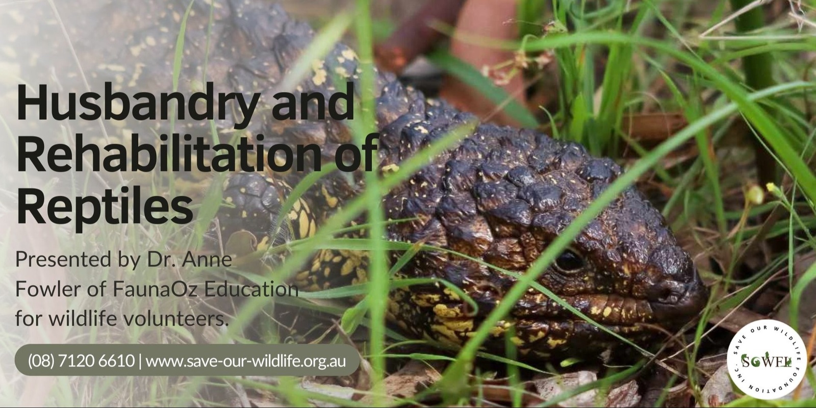 Banner image for Husbandry and Diseases of Reptiles presented by Dr. Anne Fowler