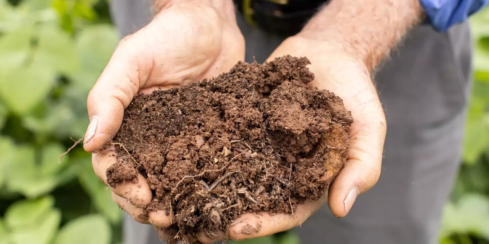 Banner image for Landcare Build Skills - Soil Management Practices 