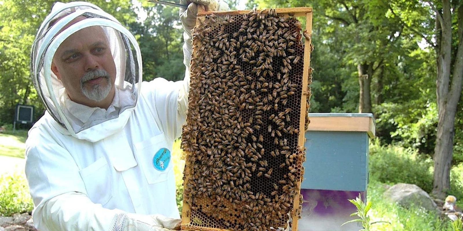 Banner image for Introduction to Bee Keeping
