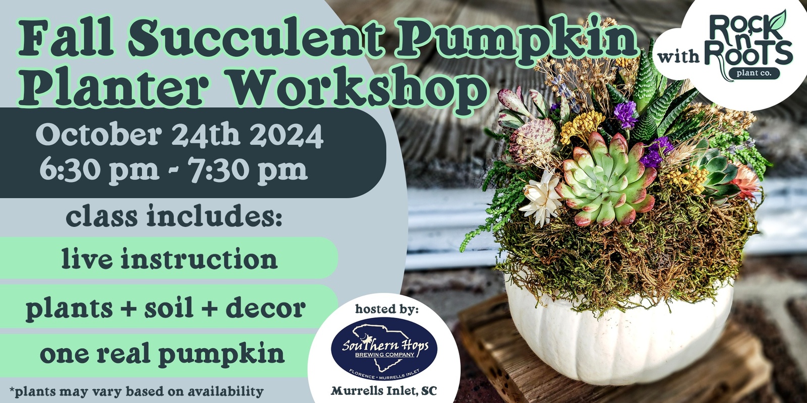 Banner image for Fall Succulent Pumpkin Planter Workshop at Southern Hops Brewery (Murrells Inlet, SC)