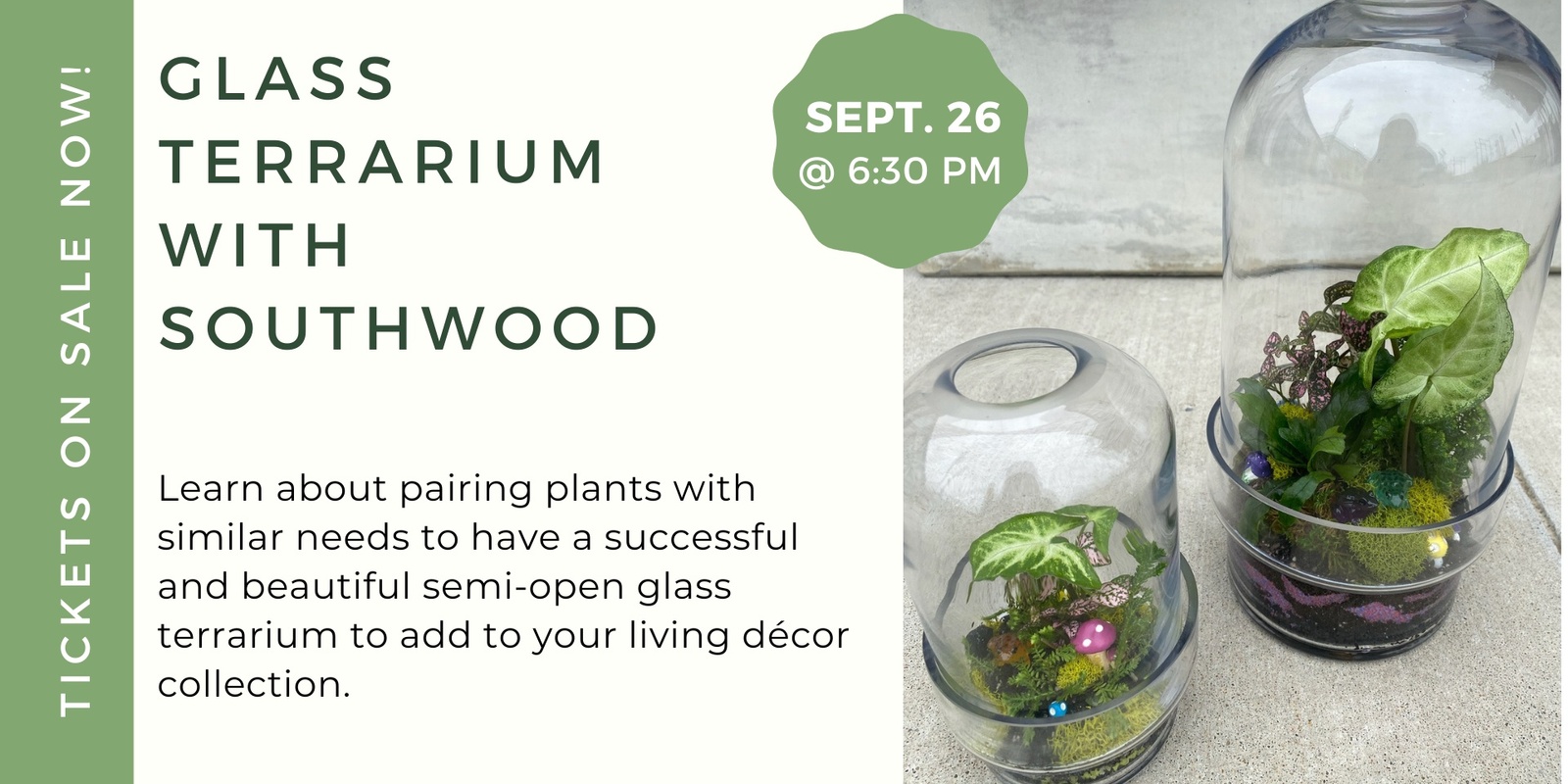 Banner image for Glass Terrarium with Southwood Home & Garden