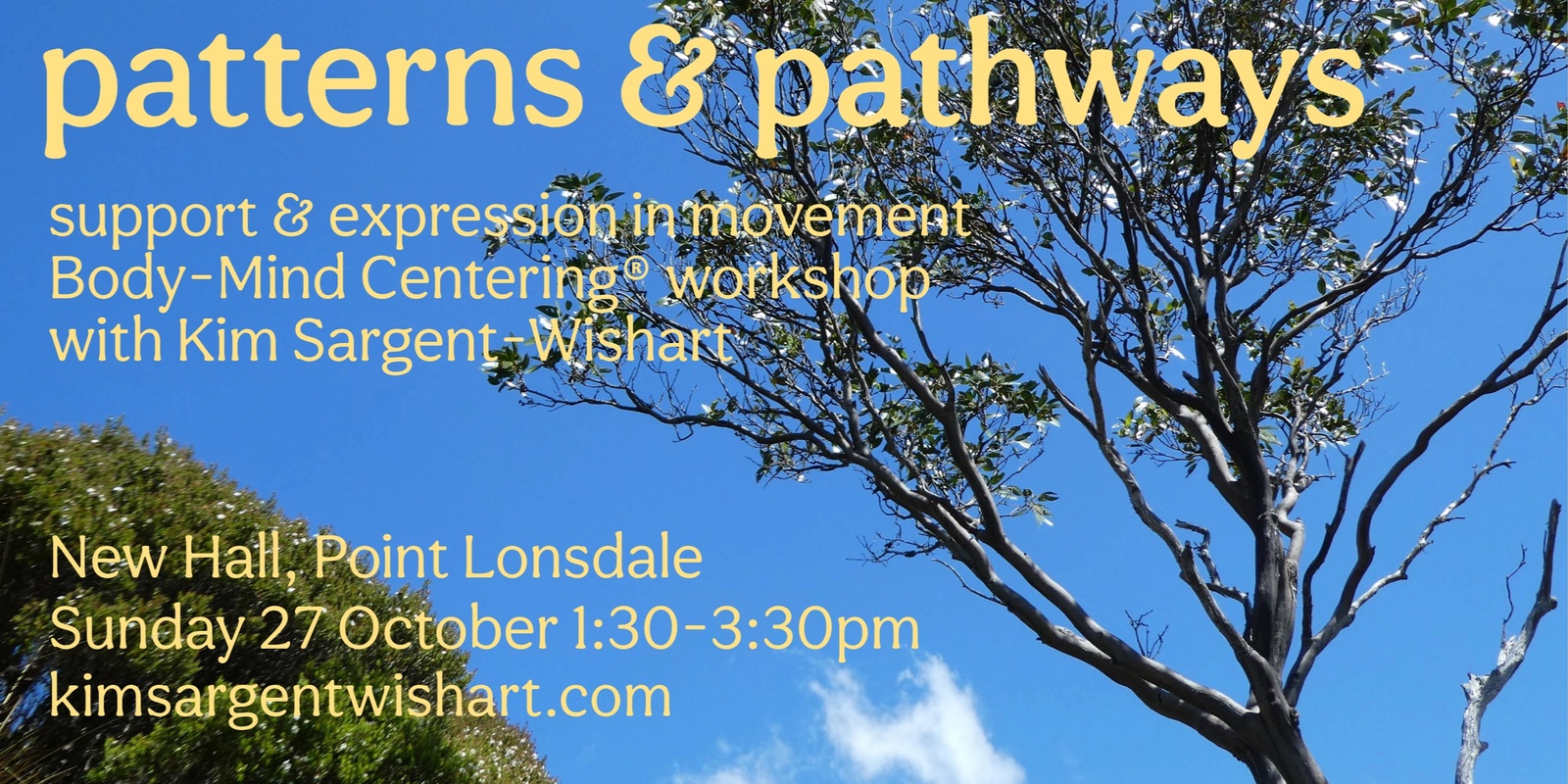 Banner image for Patterns & Pathways: Body-Mind Centering® workshop