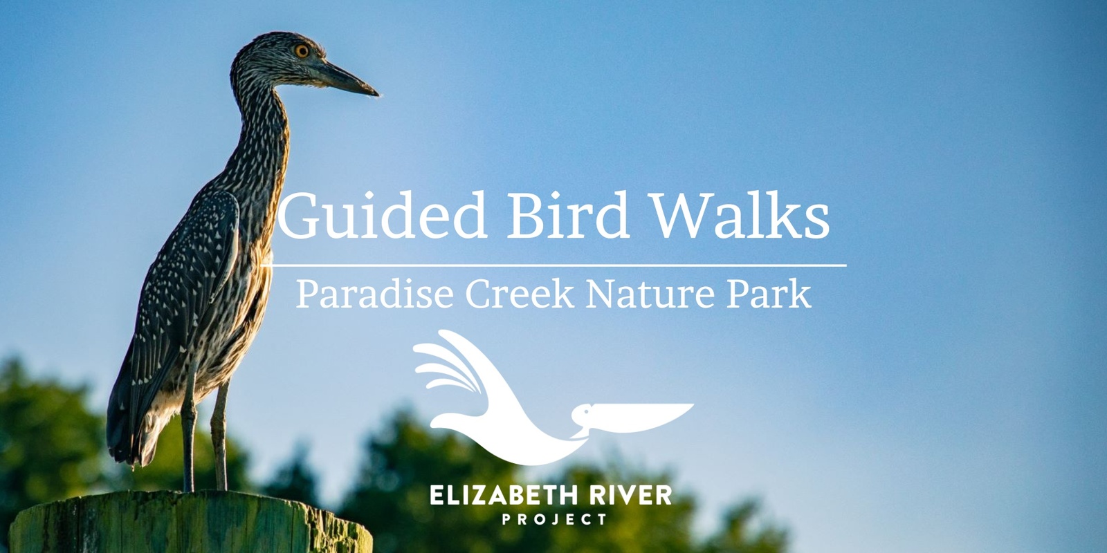 Banner image for FREE Guided Bird Walks at Paradise Creek Nature Park