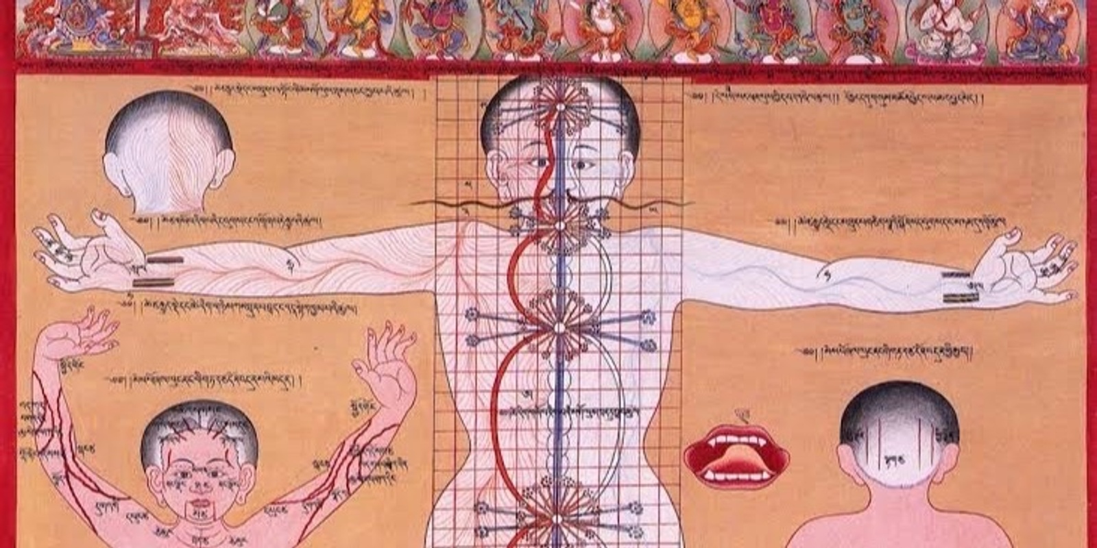 Banner image for Unlocking the Wisdom of Tibetan Medicine: Bridging Health and Spirituality