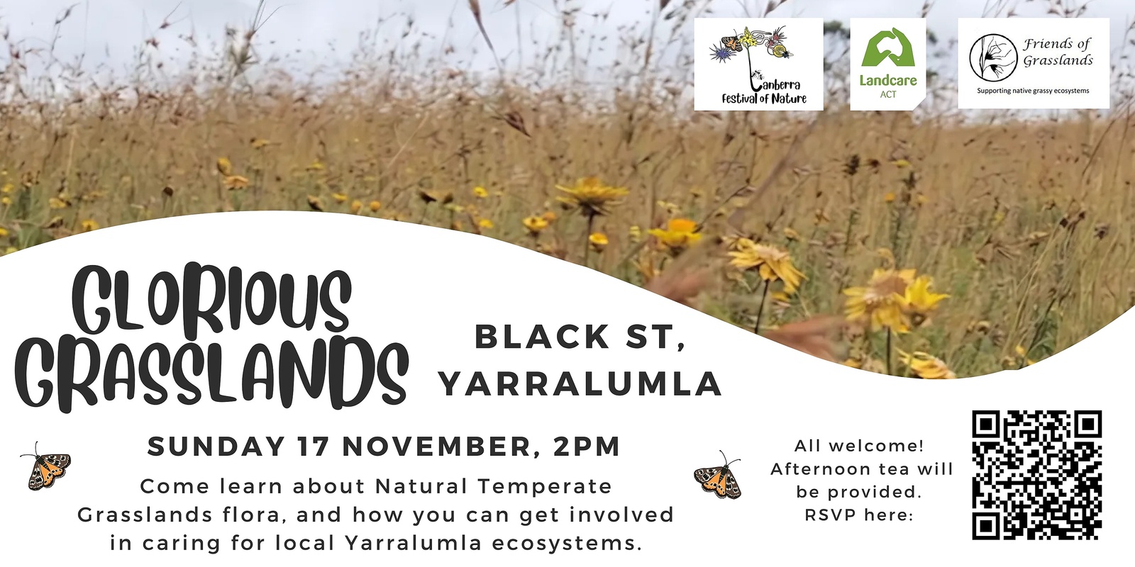 Banner image for Glorious Grasslands of Yarralumla