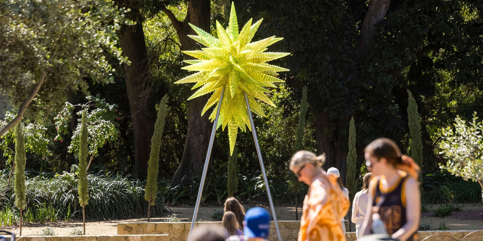 Banner image for Teacher PD: Chihuly in the Botanic Garden 