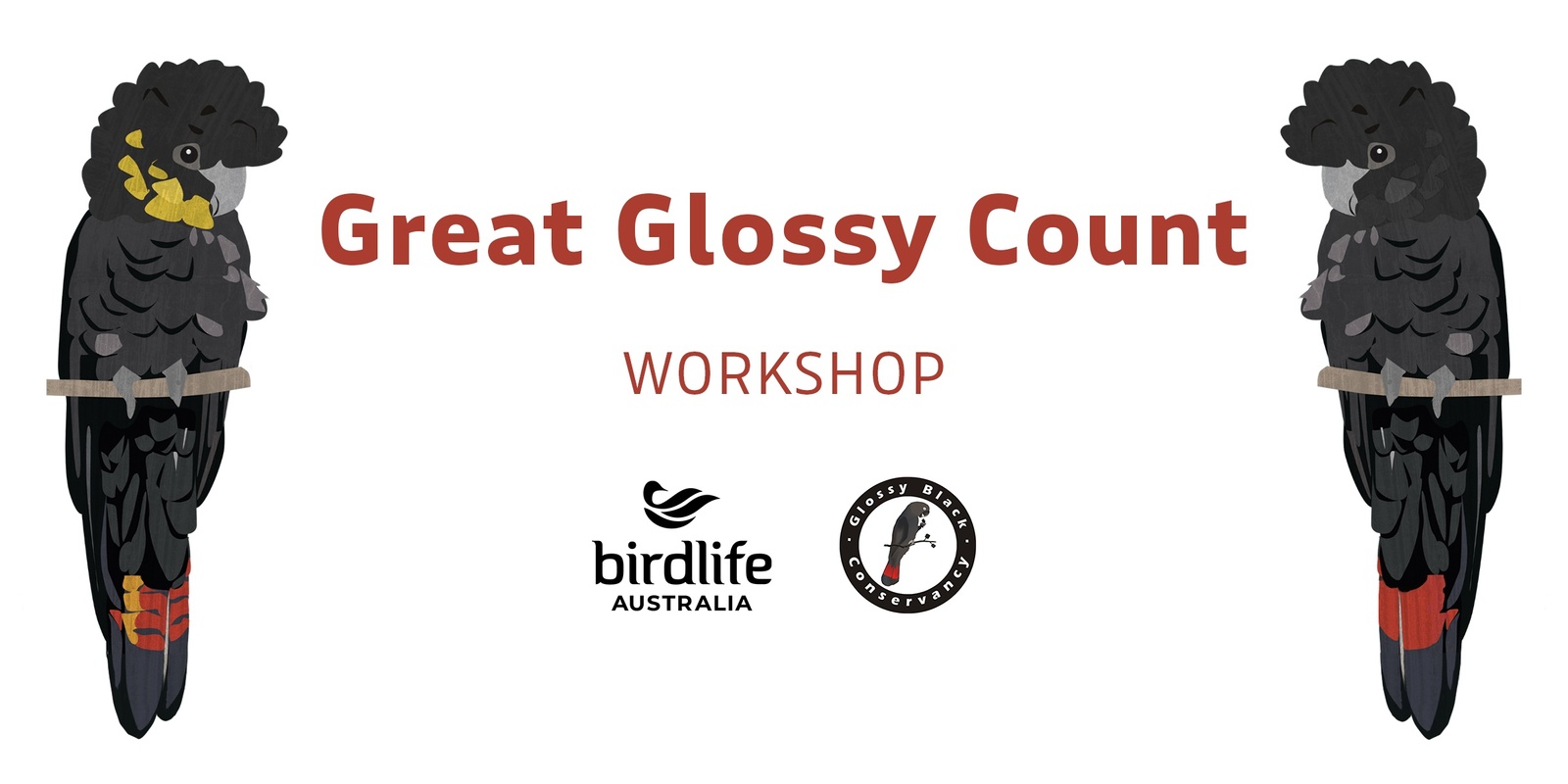 Banner image for 2024 Great Glossy Count: Glossy Black-Cockatoo ID Workshop