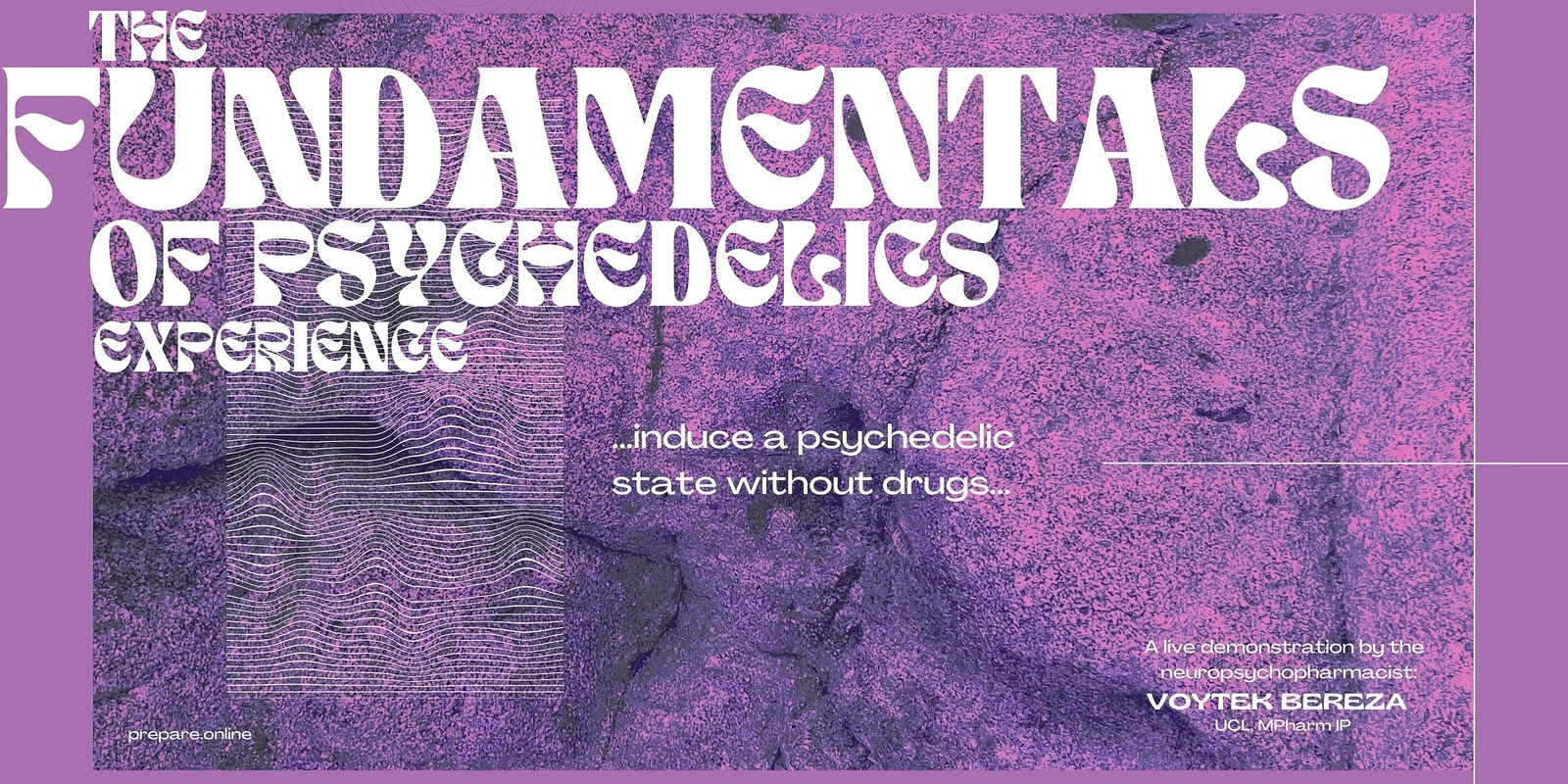 Banner image for Fundamentals of Psychedelic Medicine Experience