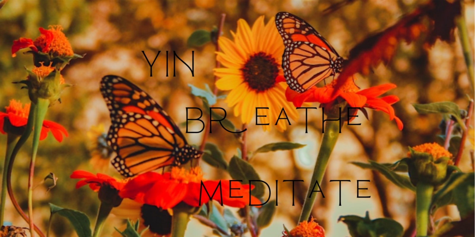 Banner image for The Deep Pause - Yin, Breathe and Meditate on Sundays at 7pm with Agnes! - Online session on Zoom - 