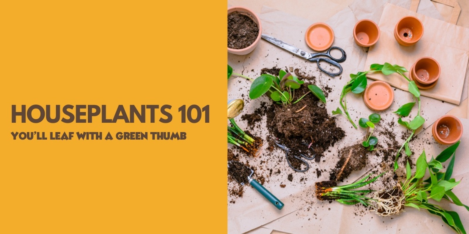 Banner image for Houseplants 101 