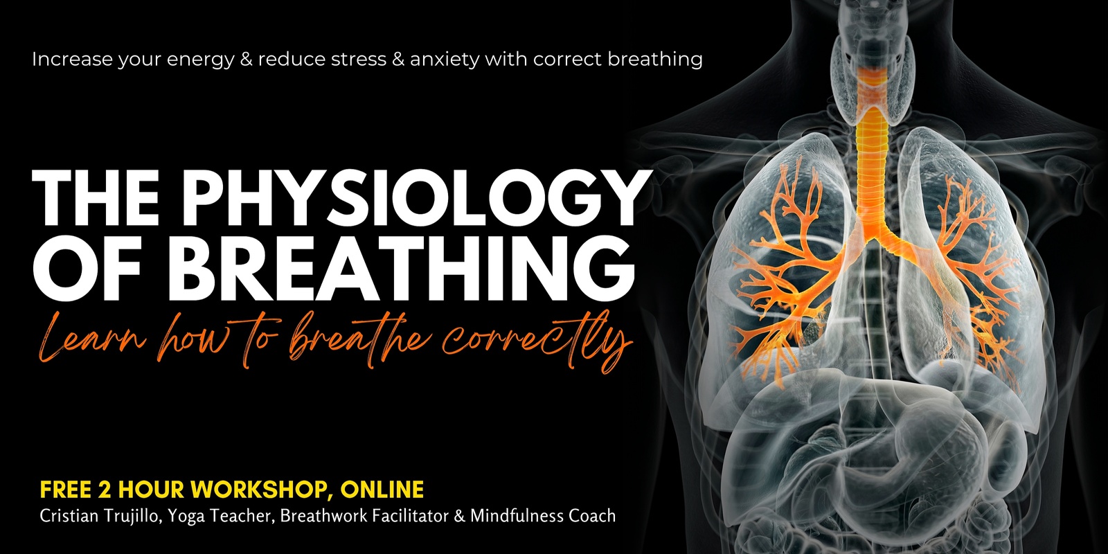 Banner image for The Physiology of Breathing - Learn How to Breathe Correctly