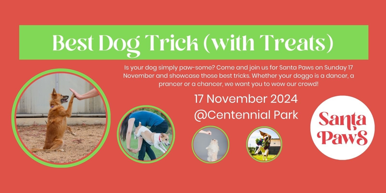 Banner image for Santa Paws Event 2024: Best Dog Trick (With Treats) Contest