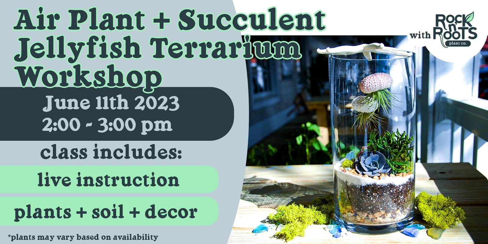 Banner image for Air Plant + Succulent Jellyfish Terrarium Workshop at Rock n' Roots Plant Co. (Pawleys Island, SC)