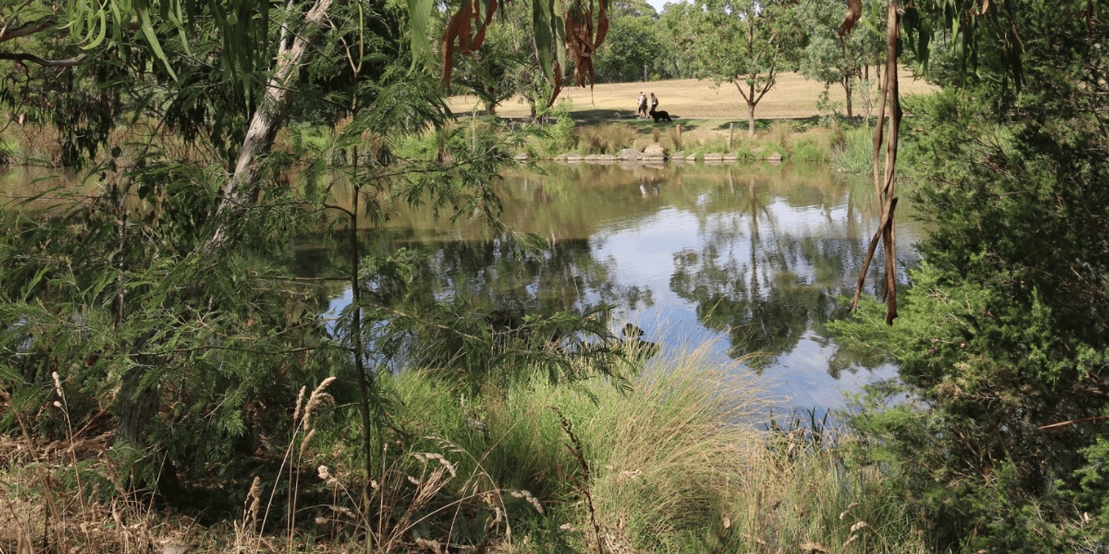 Banner image for Landcare In Action: Property Tour