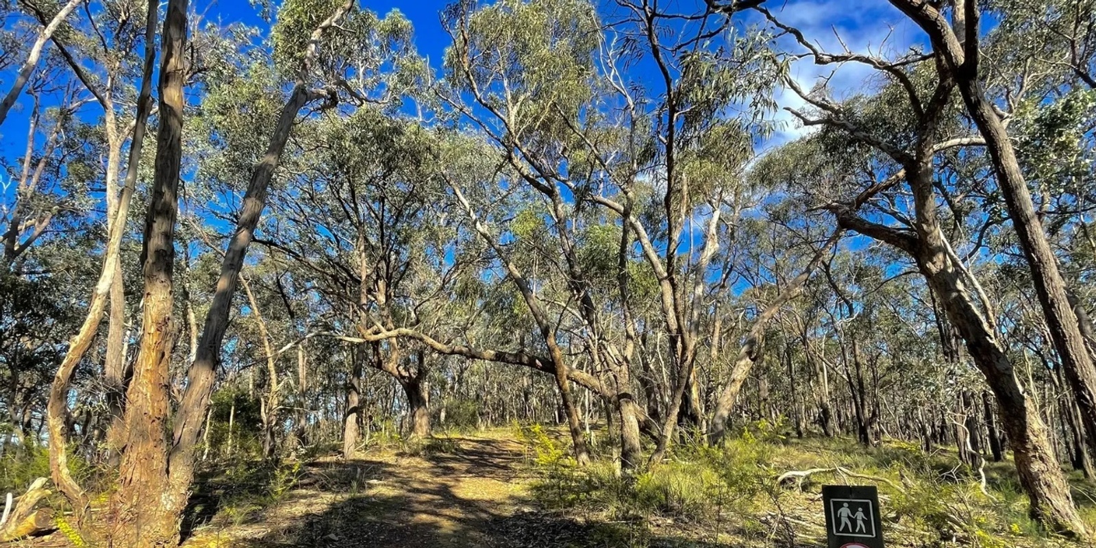 Banner image for Happy Valley Track, Smiths Gully - Grade 3 (medium)