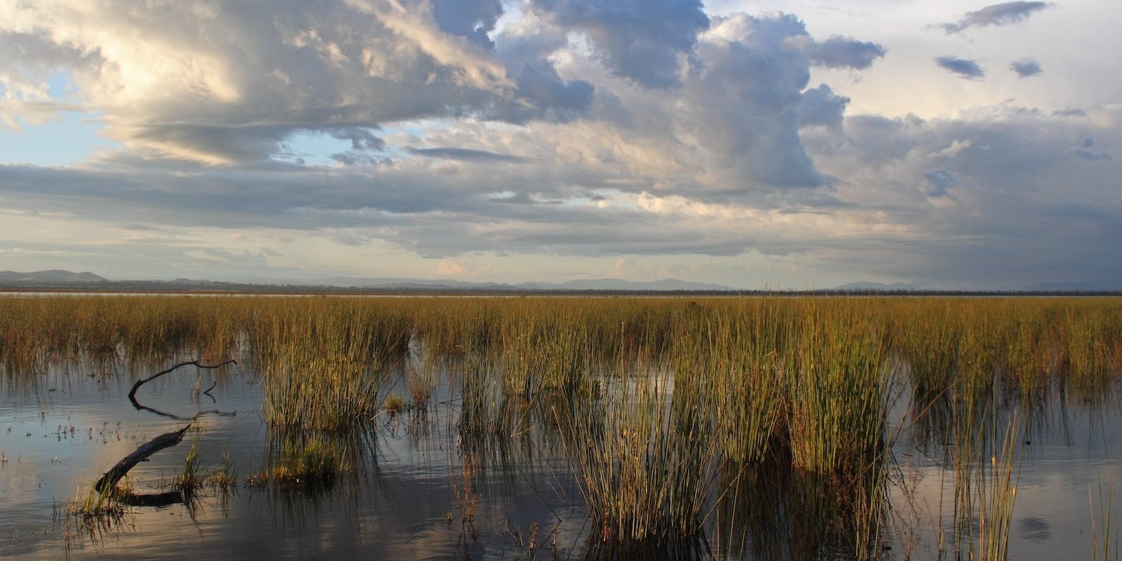 Banner image for Winton Wetlands - The Future (plus Warby Range Landcare Group's AGM)