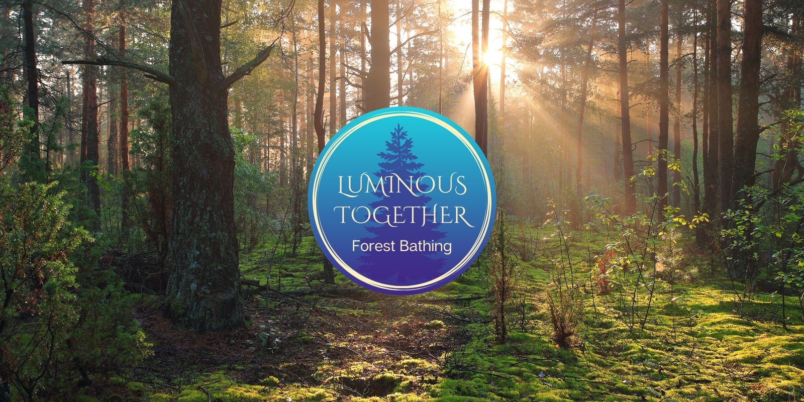 Banner image for Luminous Together Forest Bathing Walk | Frux Farm 11/23/24