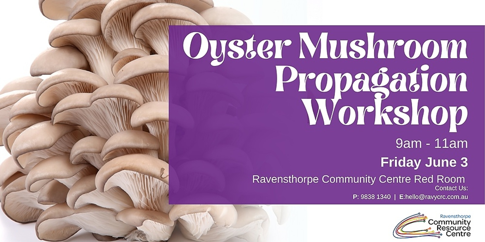 Banner image for Oyster Mushroom Propagation Workshop